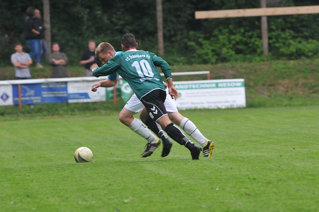 来为大连这 来为大连这