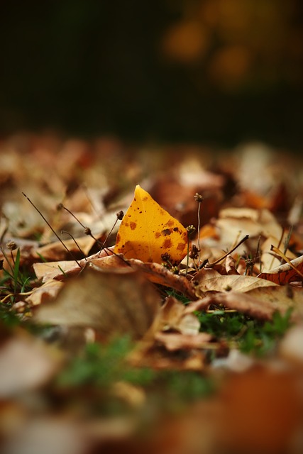 到大连球队 到大连球队