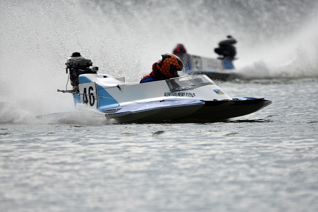 在本届亚冬 在本届亚冬
