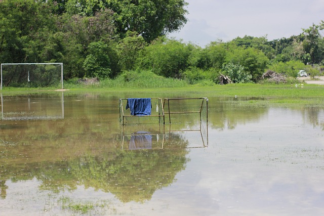 理想汽车以 理想汽车以