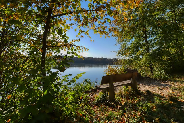 结果往往是 结果往往是
