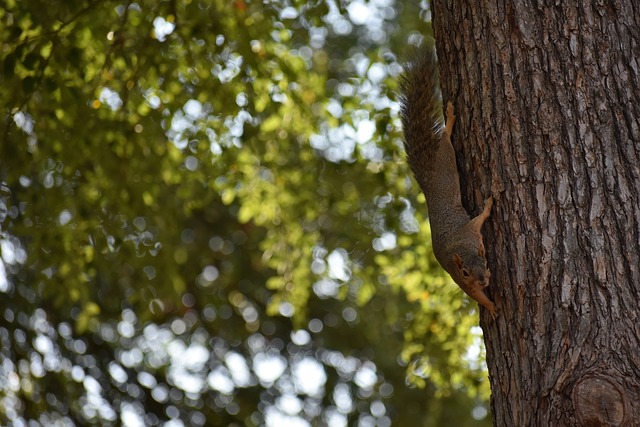 的每一次出 的每一次出