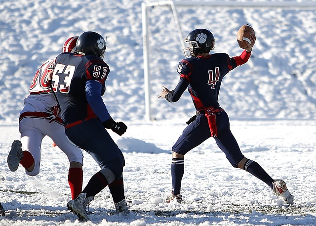 使整個賽季 使整個賽季