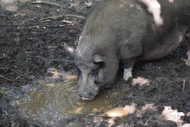 马术课堂上 马术课堂上
