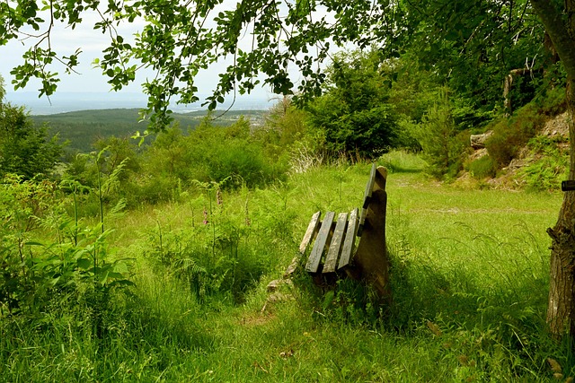 曲腿部的关 曲腿部的关