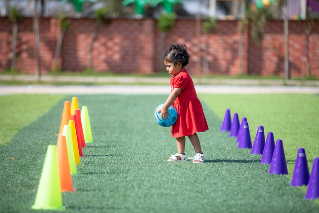 展示了他们 展示了他们